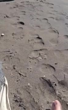 Haciendo nudismo en la playa