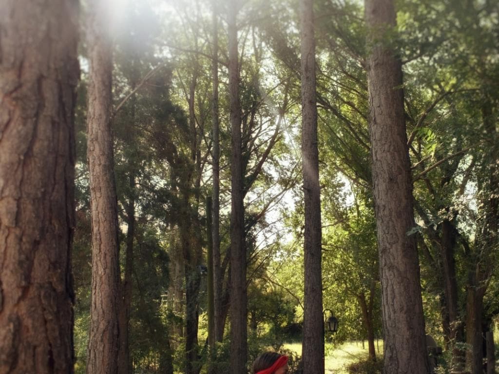 Photo 0 from Naturaleza al Rojo Vivo
