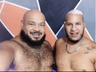osos_peludos