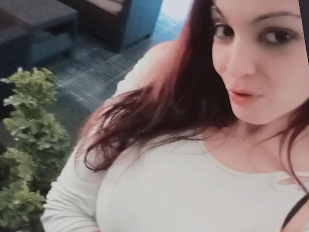 Photo 1 from Regreso 